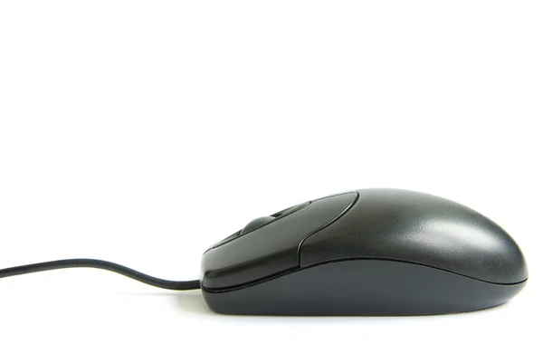 Ratón ordenador — Foto de Stock