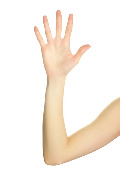 Рука показывает пять пальцев — стоковое фото