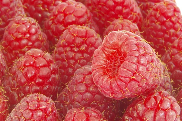 stock image Raspberries