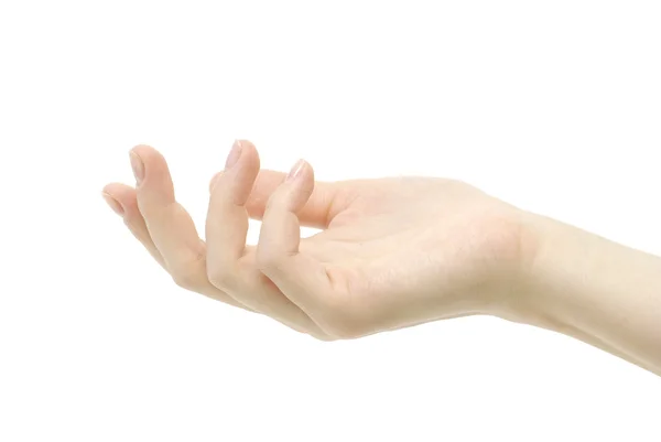 Κενό Χέρι Απομονωμένο Λευκό Φόντο — Φωτογραφία Αρχείου