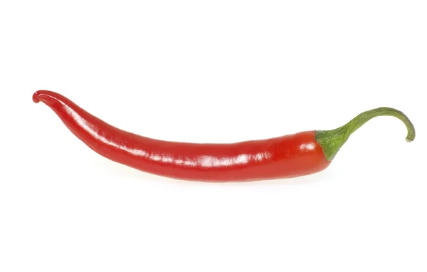 Piros Forró Chili Paprika Elszigetelt Fehér Háttér — Stock Fotó
