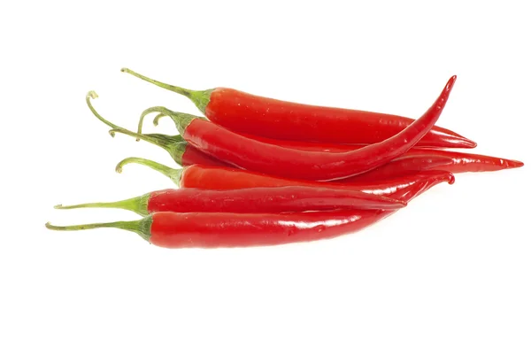 Red Hot Chili Peppers White Background — Stock Photo, Image