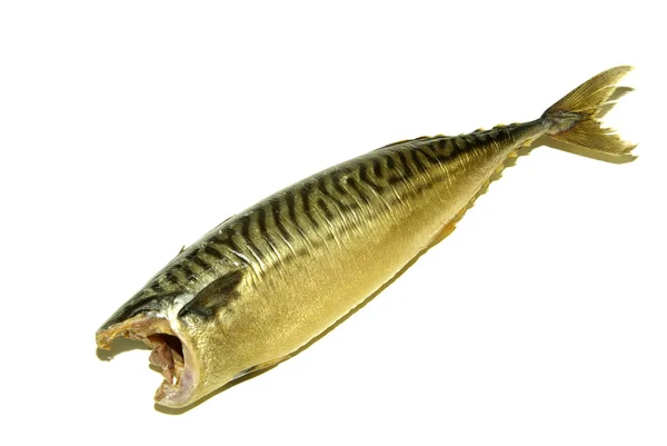 Копчена риба — стокове фото