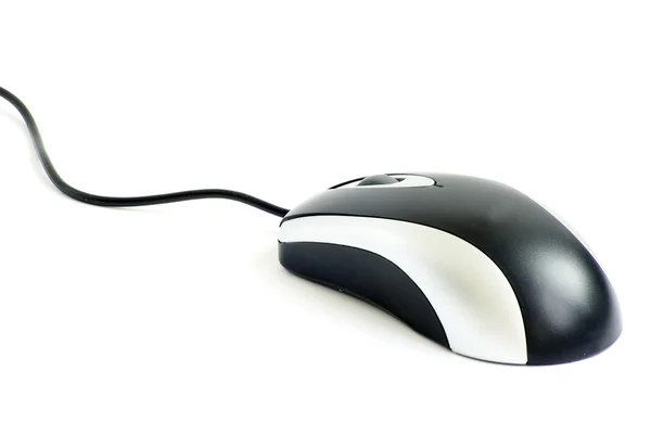 Myš na počítač — Stock fotografie