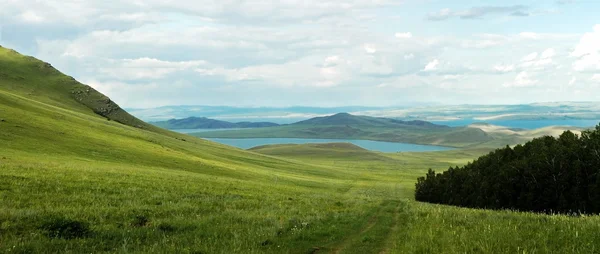 yaz yeşil çimen, bulutlar ve deniz kolundan road, yatay.