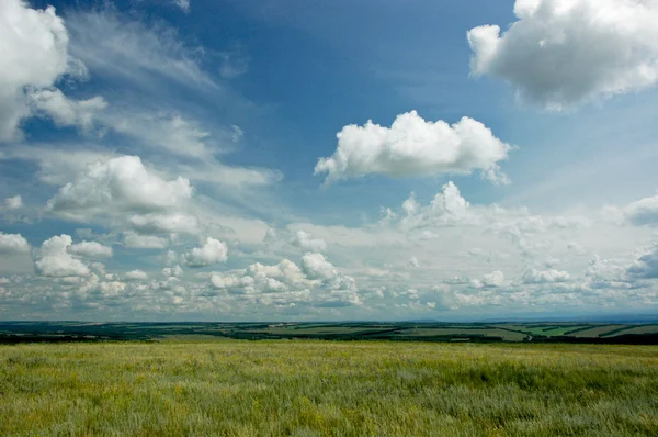 stock image The landscape sky with clouds and grass.