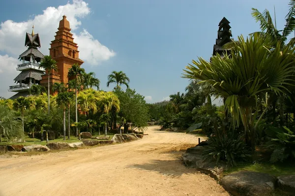 stock image Winding ground road in jungle.