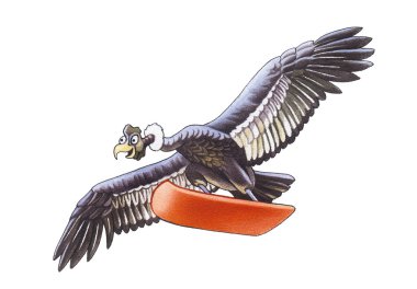 Condor clipart