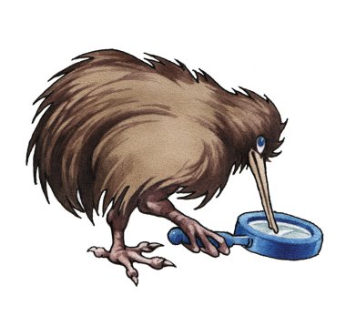 Kiwi clipart