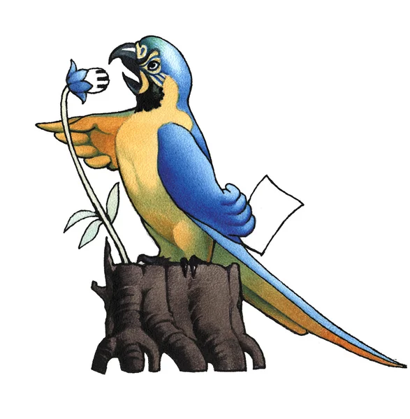 Ara (Amerika papağanı) — Stok fotoğraf
