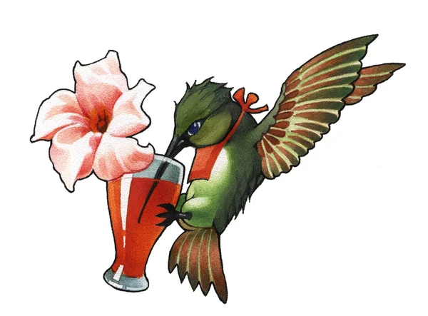 Colibry Hummingbird Kuş Uğultu — Stok fotoğraf