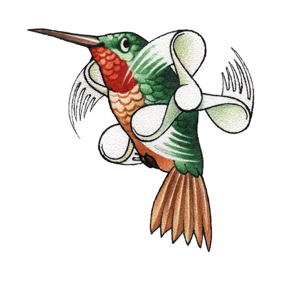 Kolibri Stockbild