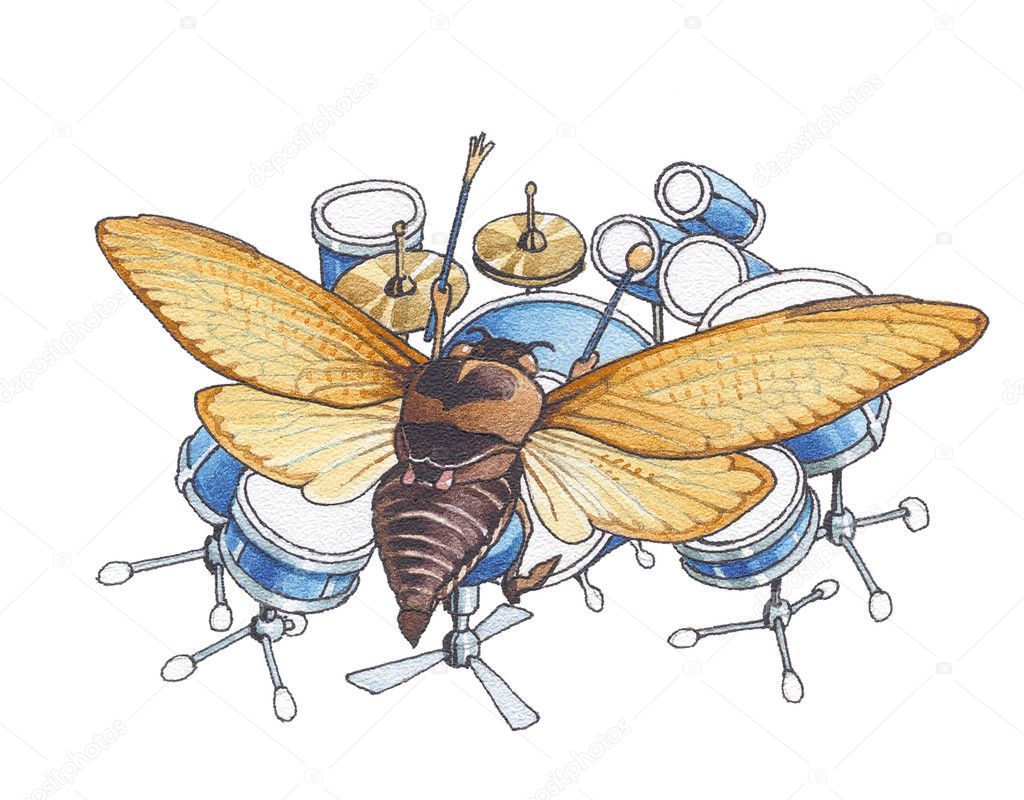 The beetle (bug) plays rock music drums