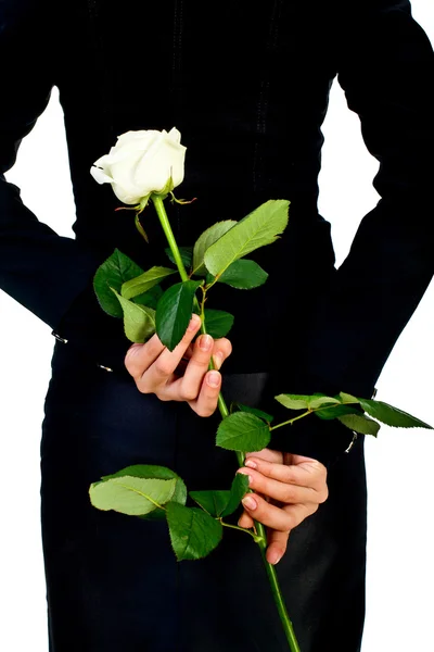 Girl in black with white rose. Isolated — Stock Photo, Image