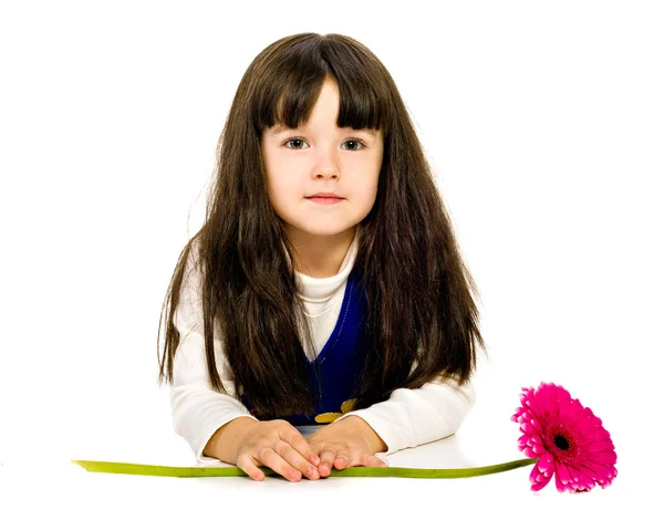 Little Girl Red Gerber Flower — Stock Photo, Image