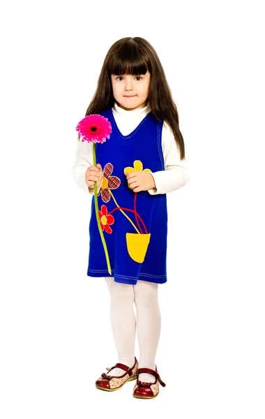 Dziewczynka Gerber Czerwony Kwiat — Zdjęcie stockowe