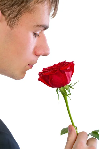 Hombre Oliendo Una Rosa Aislado —  Fotos de Stock