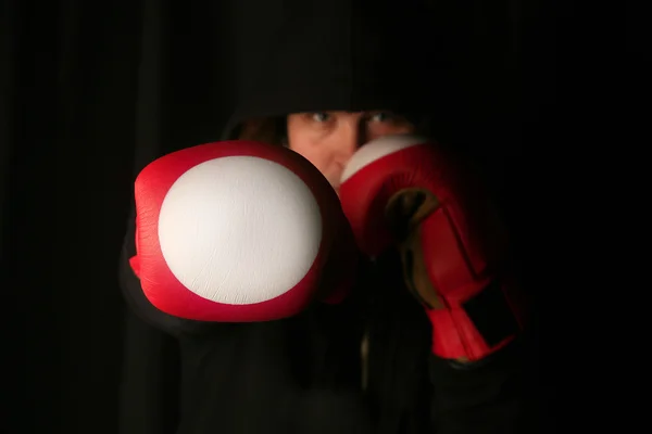 Boxer Background — Stock Photo, Image