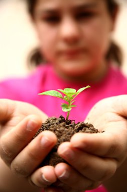 Seedlings in the hands of a girl image clipart