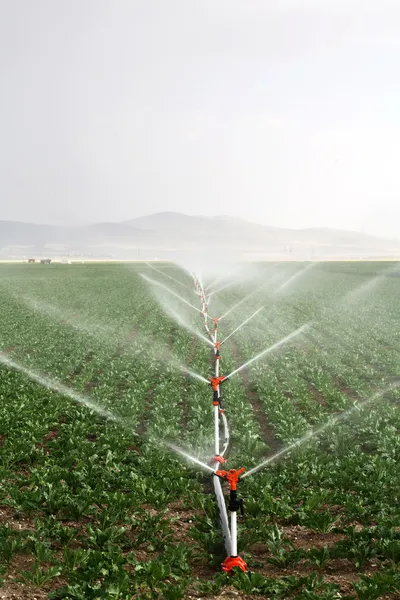 Sistemas de irrigação por gotejamento em uma imagem de campo agrícola — Fotografia de Stock