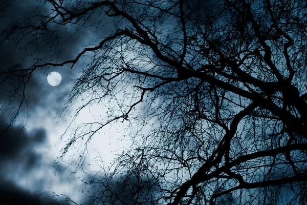 Espantoso paisaje oscuro con árboles desnudos, luna llena y nubes — Foto de Stock