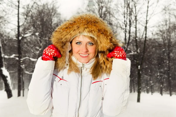 stock image Anorak