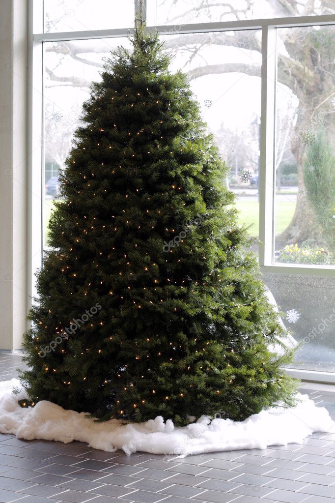A large holiday evergreen tree with lights surrounded by cotton snow in a brightly lit lobby.