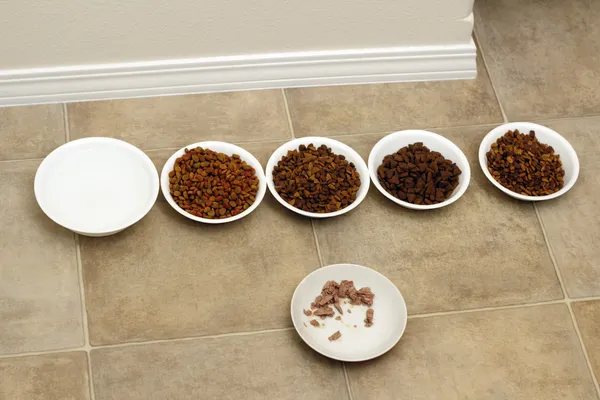 猫ドライ食品の つの異なるボウル 湿った食品のボウル 水ボウル — ストック写真