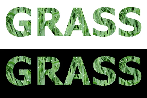 Текстурованою слово трави — стокове фото