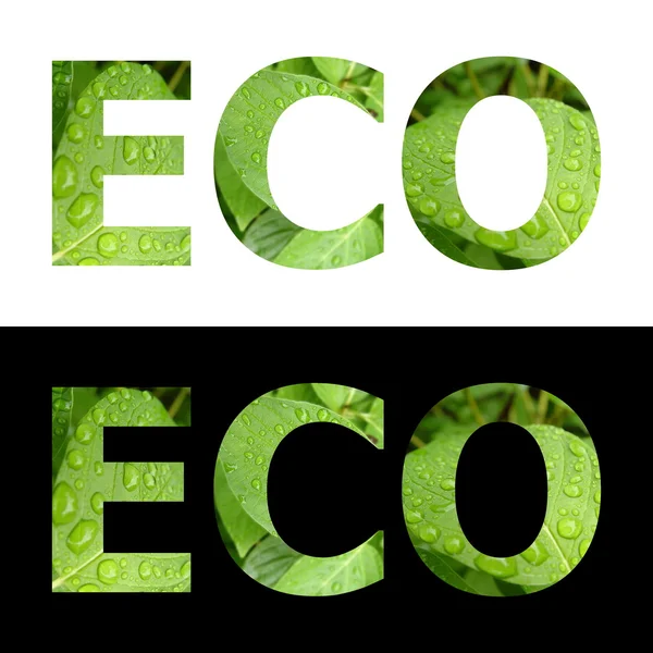 Palabra texturizada Eco — Foto de Stock