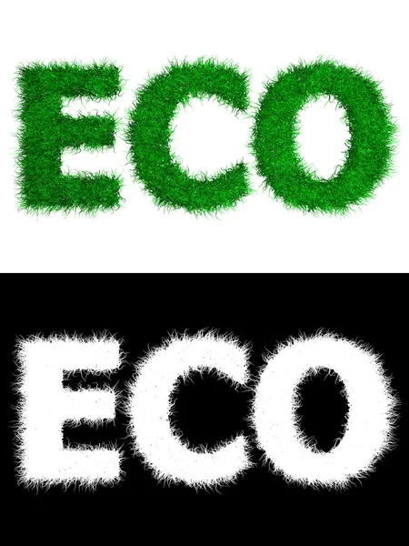 Eco made of Grass - White Background — Stock Photo, Image
