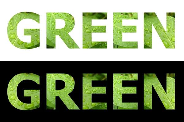 Palabra texturizada Verde — Foto de Stock