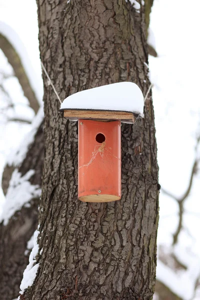 Birdhouse, na které se vztahuje sníh — Stock fotografie