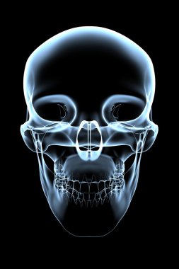 Human Skull - X-Ray Front View clipart