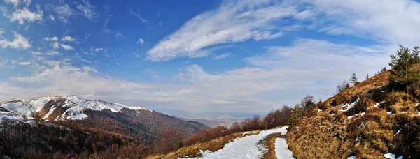 Neve di abeti su cresta di montagna — Foto Stock