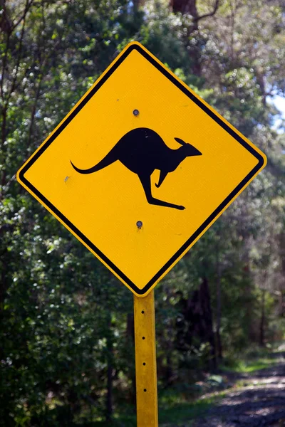 Знак кенгуру — стоковое фото