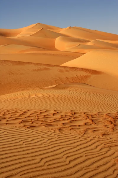 Cartierul gol Dunes — Fotografie, imagine de stoc