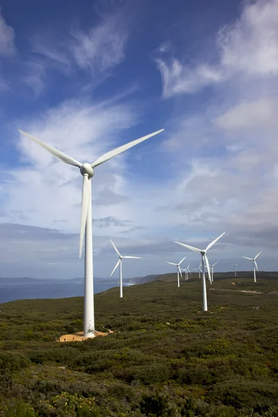 stock image Albany Wind Farm