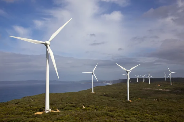 stock image Albany Wind Farm