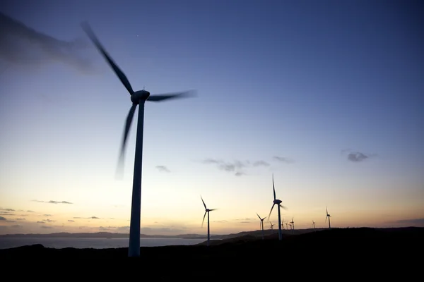 Albany Wind Farm — Stock Photo, Image