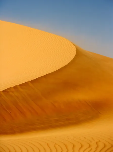 Ветер на дюне — стоковое фото