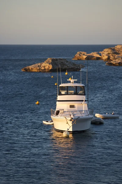 Rottnest Adası