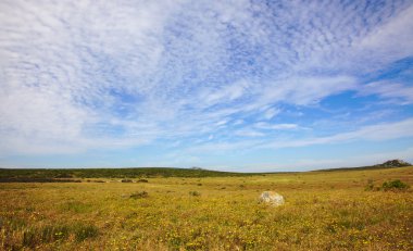 West Coast National Park clipart