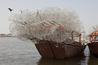 Balıkçılık dhow