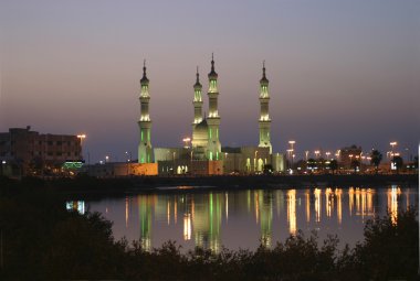 Sheik zayed Camisi