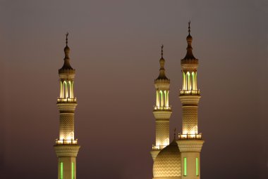 Sheik Zayed Mosque clipart