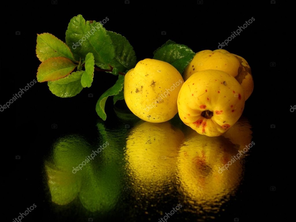 Japanese quince fruit — Stock Photo © de2marco 4004425