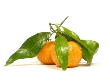 Tangerines with leaves clipart