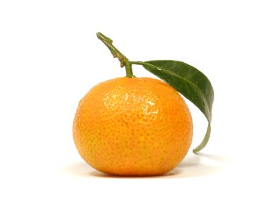 Tangerine with leave clipart