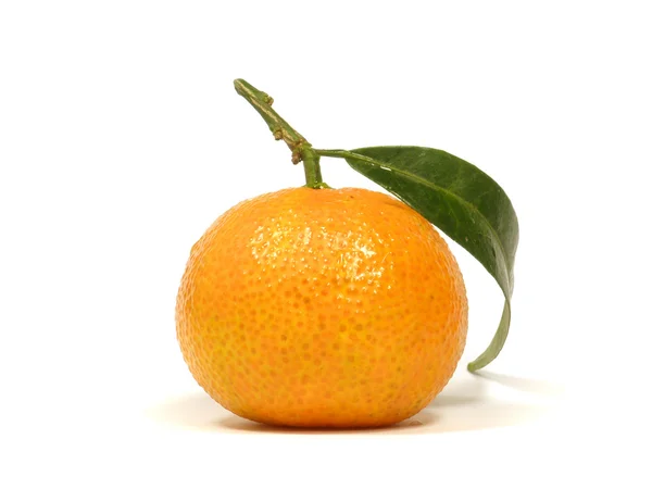 Mandarina con licencia — Foto de Stock